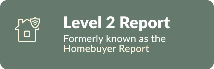 Level 2 Report